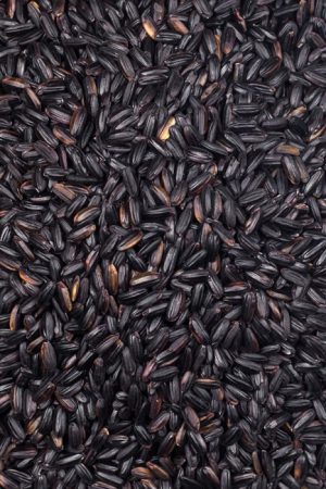 Organic Black Rice