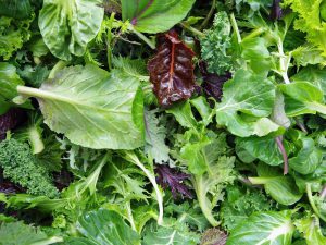 Mixed Seasonal Salad Leaves