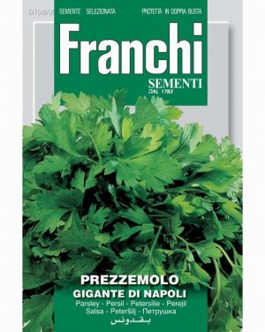 Parsley ‘Prezzemolo Gigante Napoli’