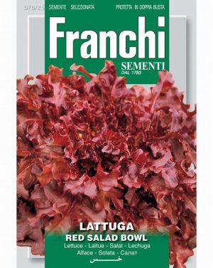 Red Salad Bowl Lettuce