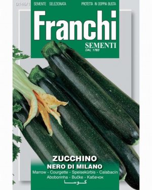 Courgette ‘Nero de Milano’