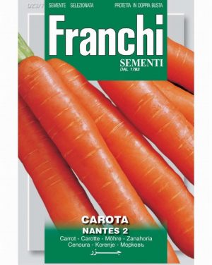 Carrot ‘Nantes 2’